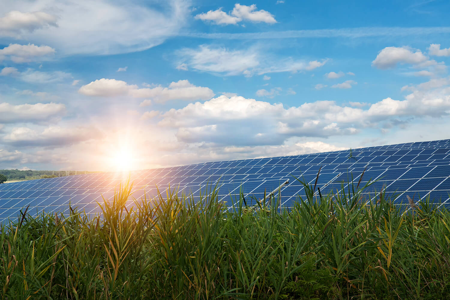 Solar park on a green field and the sun in the background as an explanation of the Belectric corporate philosophy