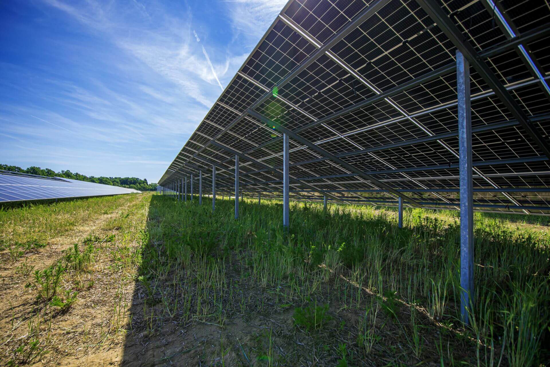 Image taken from beneath a solar panel in the Kleinlangheim solar park