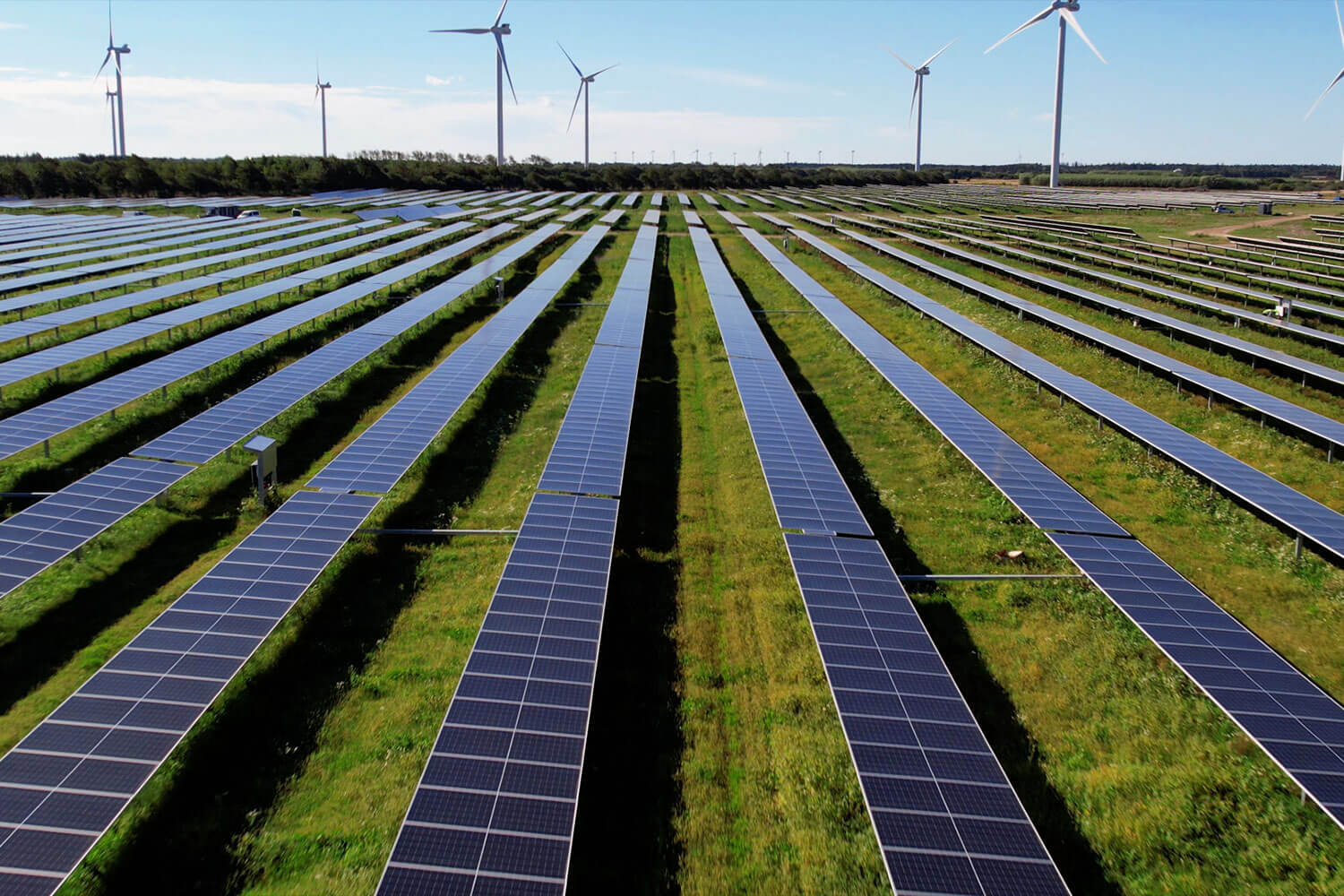 BELECTRIC's first Danish large-scale solar farm in Ringkobing seen from above the tracker modules