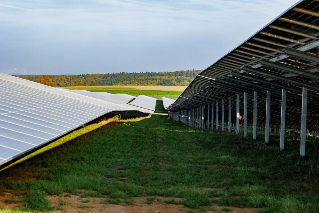 A BELECTRIC solar farm shown from the ground